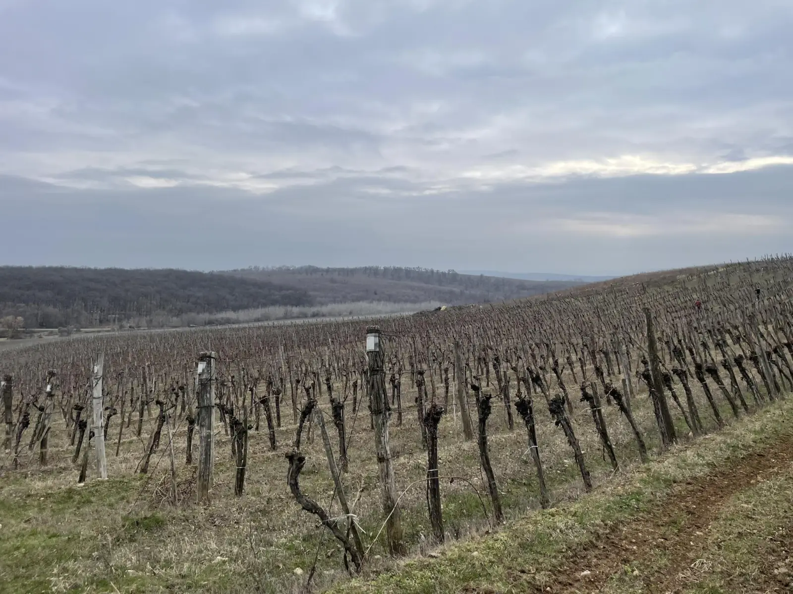 Nagy-Eged dűlő