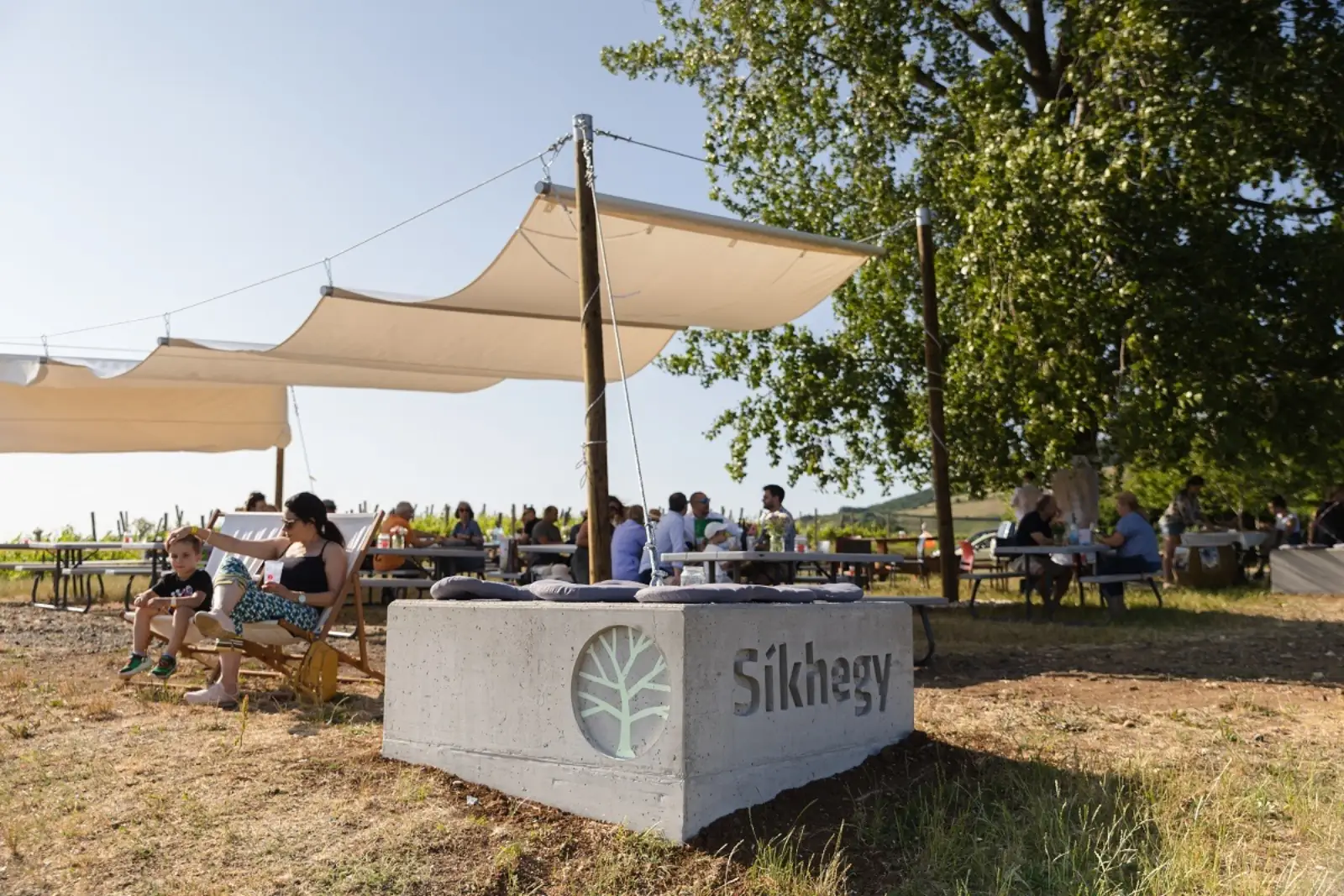 Piknik a Nyárfa alatt